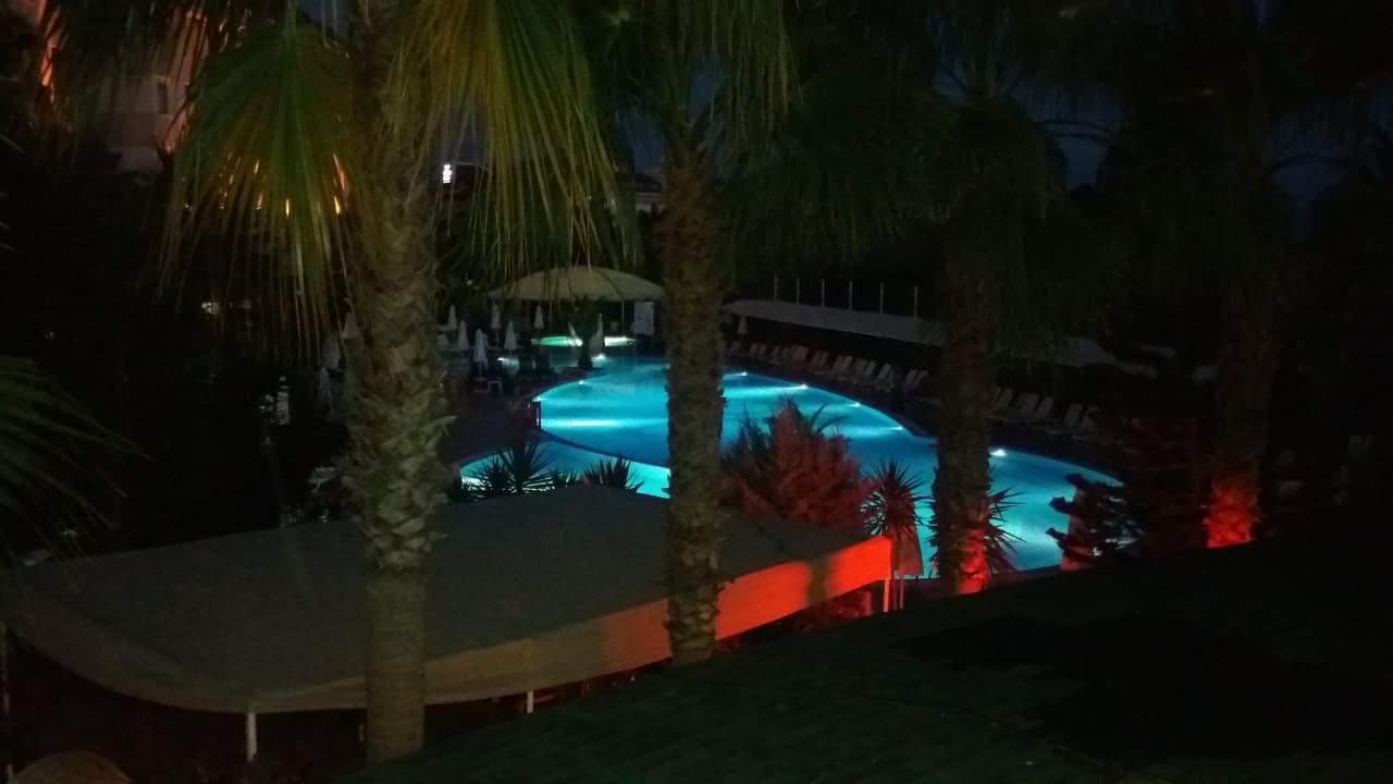 Pool Calimera Hane Garden