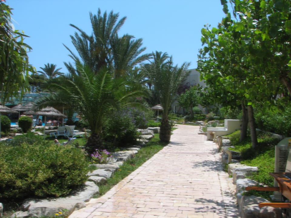 Ogród przy głównym basenie TUI MAGIC LIFE Africana