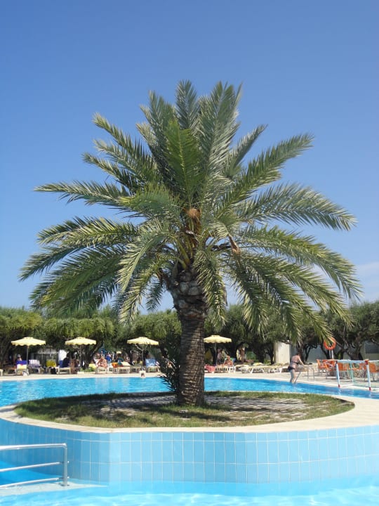 Pool TUI KIDS CLUB Alex Beach