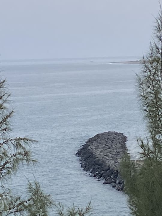 Ausblick Hotel Riu Palace Palmeras