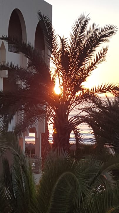 Ausblick Iberostar Waves Averroes