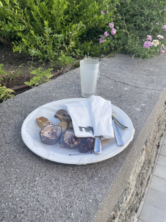 Gartenanlage Lindos Village Resort & Spa - Adults only