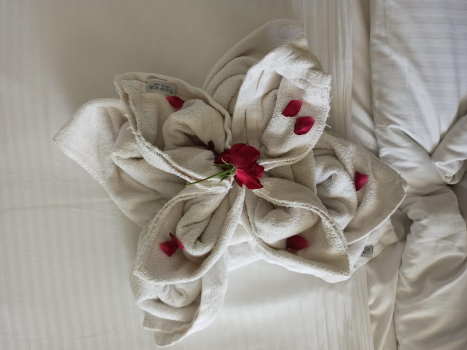 Zimmer Hotel Corissia Princess