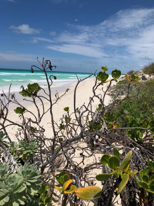 Strand Playa Cayo Santa Maria