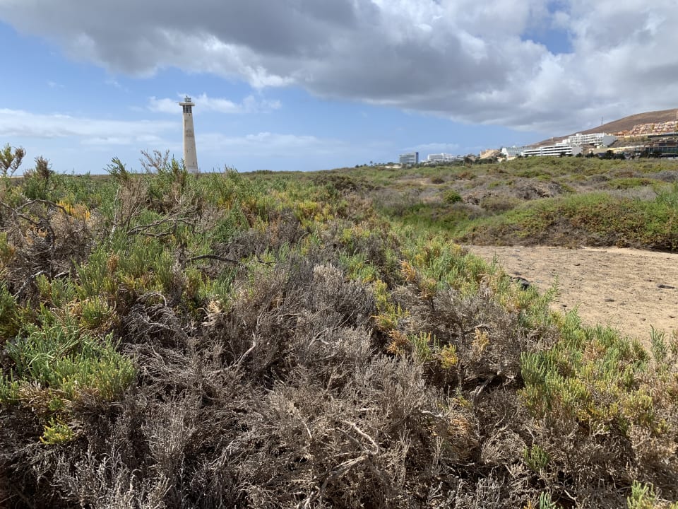 Strand Hotel Riu Palace Jandia