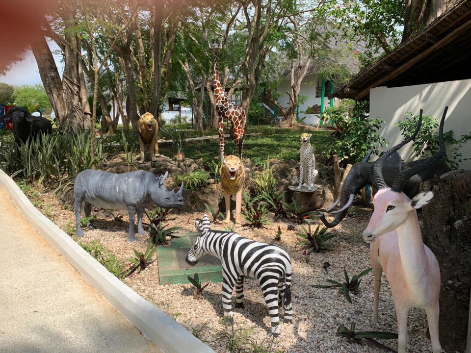 Sonstiges Hotel Kiwengwa Beach Resort