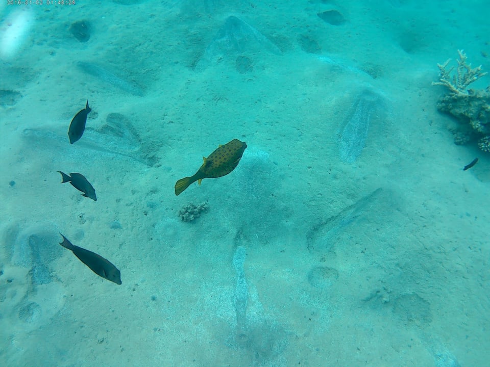 Sport & Freizeit Jaz Makadi Saraya Resort