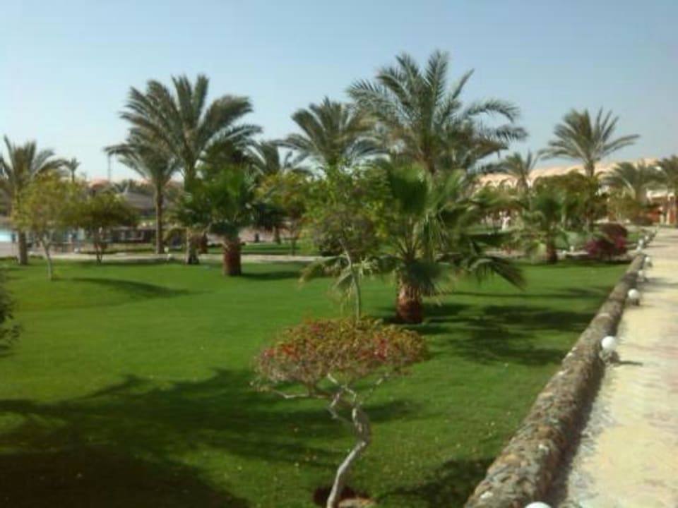 Ausblick  Three Corners Sea Beach Resort