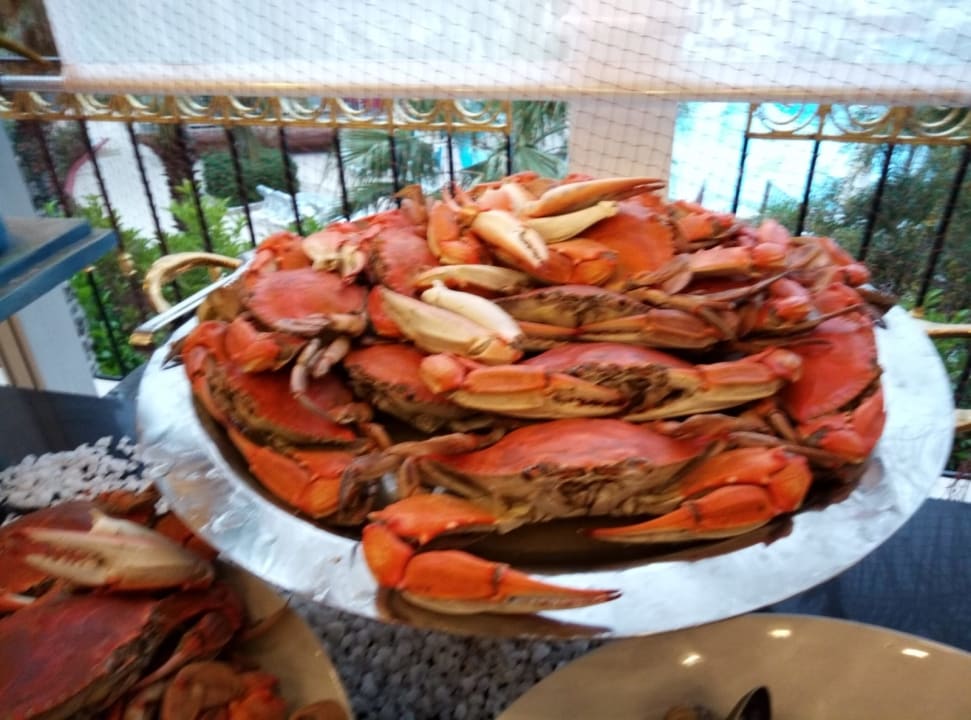 Gastro Hotel Delphin Diva