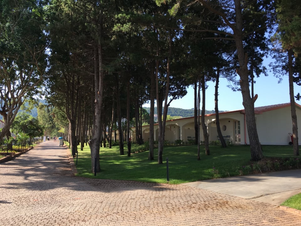 Zimmer TUI BLUE Tropea