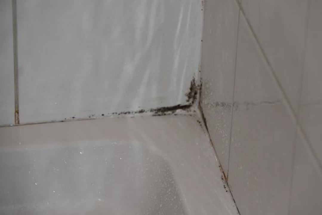 Schimmel in der Dusche Hotel Euro Lodge Clapham