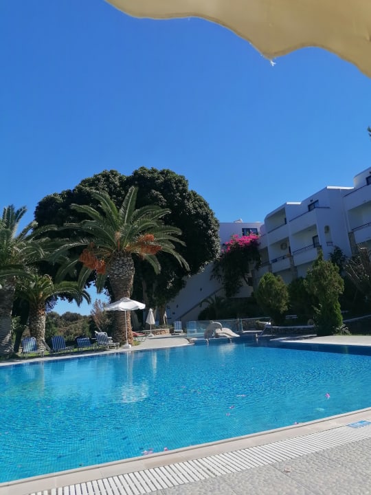 Pool Ekaterini Hotel