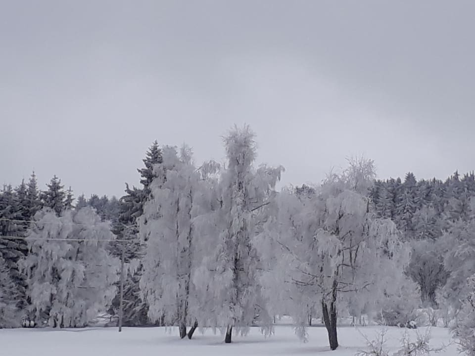 Außenansicht Gasthof Pension Nordwald