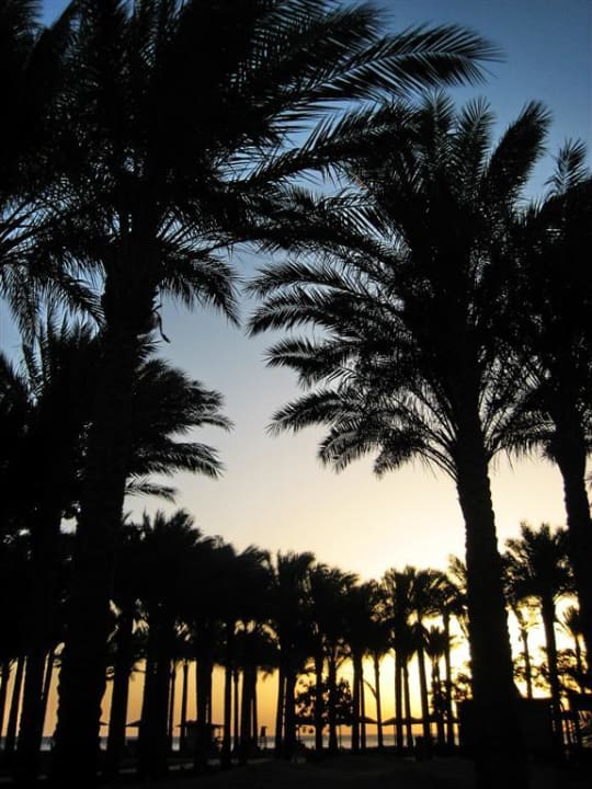 Sonnenaufgang Makadi Palace
