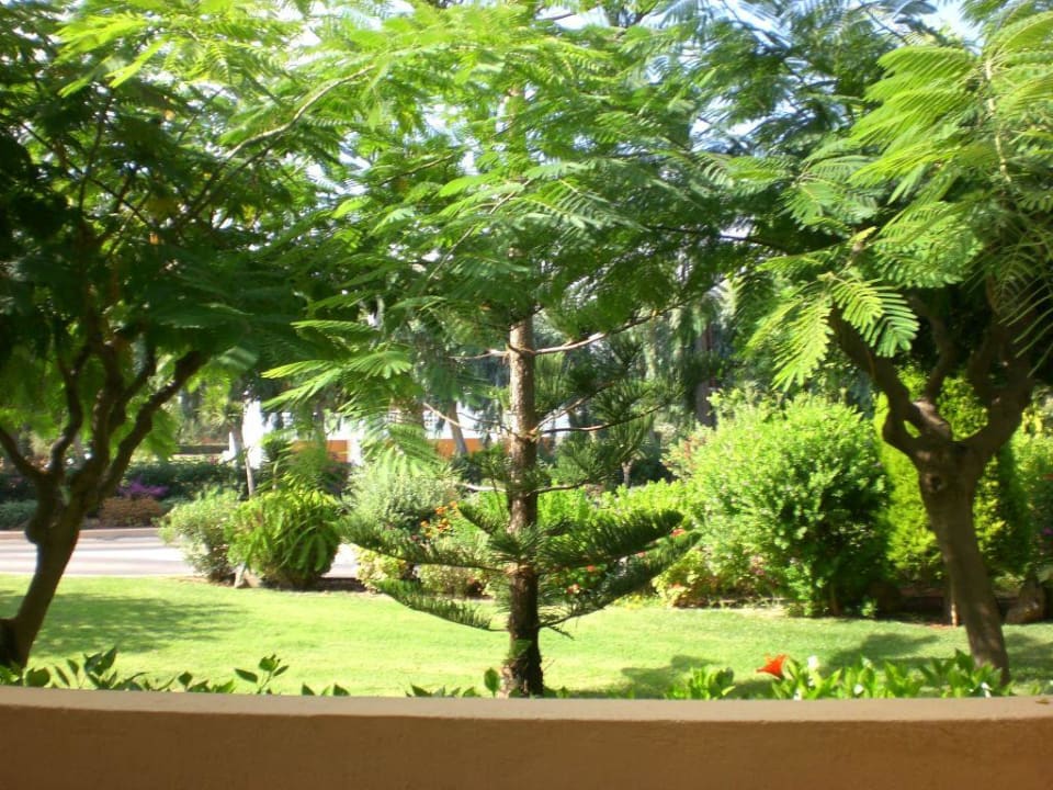 Aussicht vom Zimmer Anissa Beach & Village