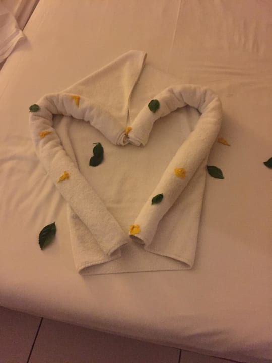 Immer eine Überraschung Jaz Dar EL Madina