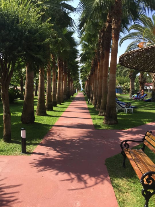Der Weg zum Strand Hotel Miramare Beach