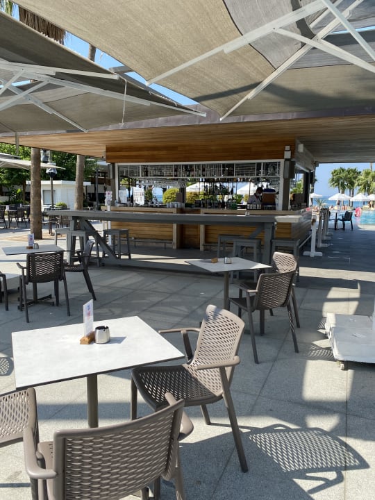 Gastro Acanthus Cennet Barut Collection