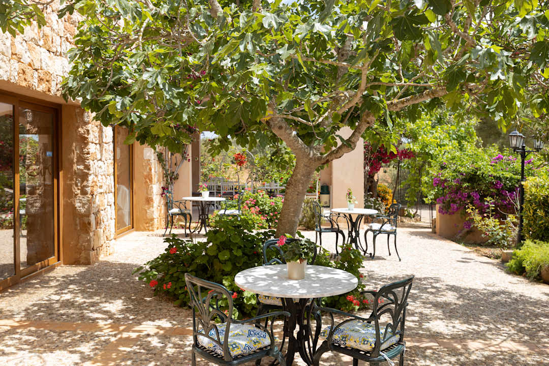 Gartenanlage Finca Son Marimon