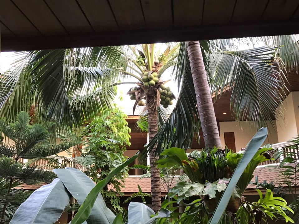 Ausblick Thai House Beach Resort