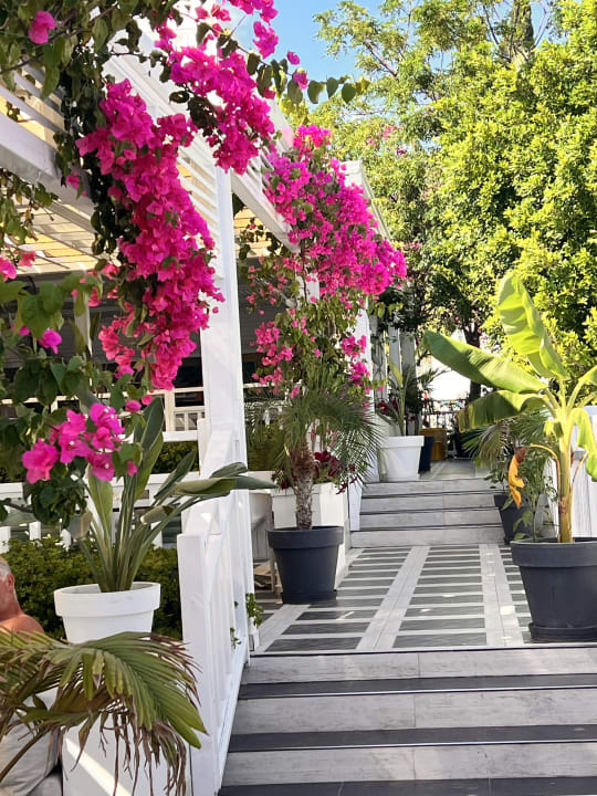 Sonstiges Can Garden Resort