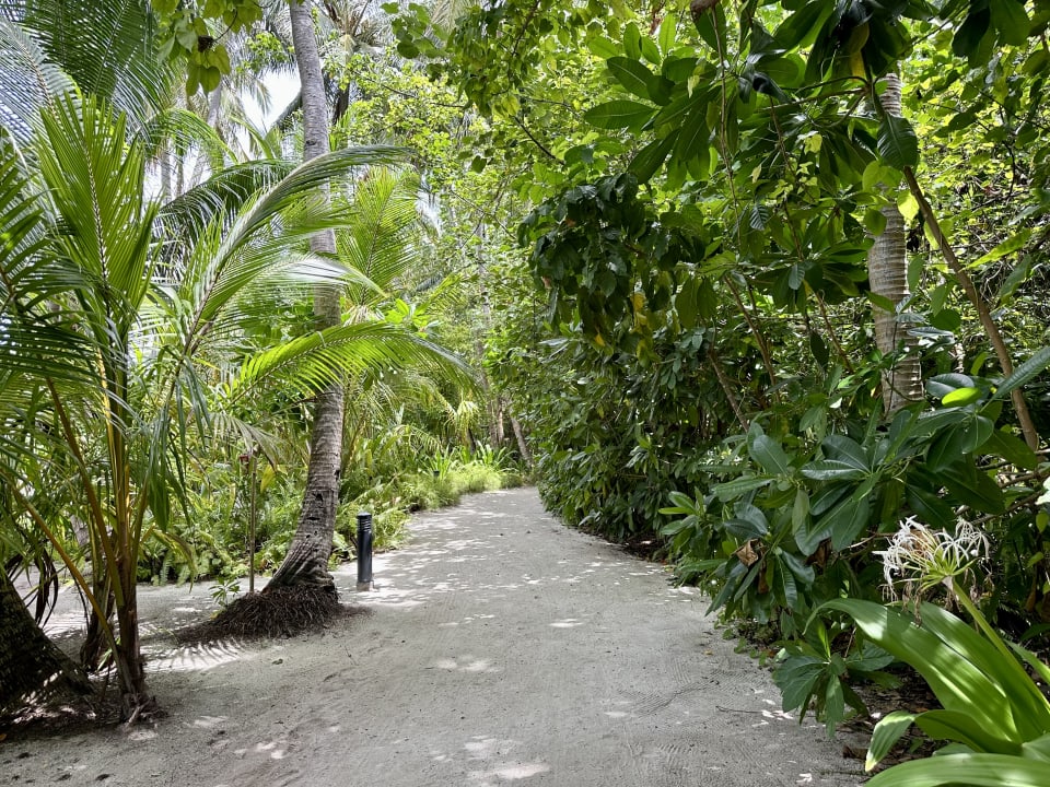 Gartenanlage Vilamendhoo Island Resort & Spa