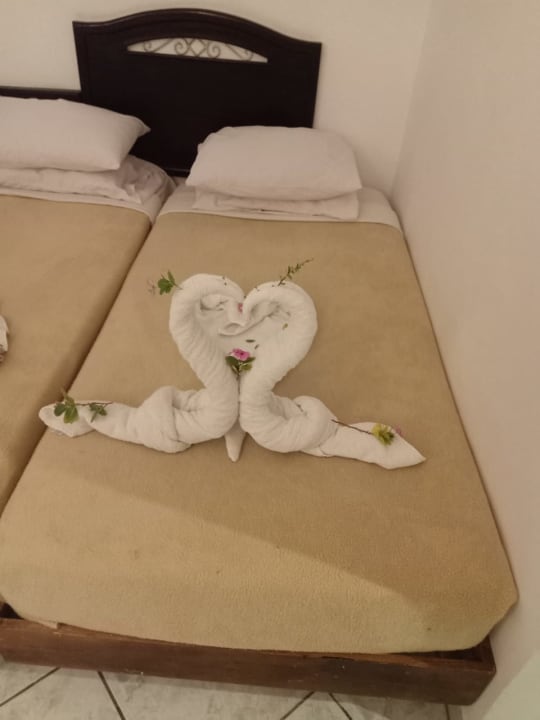 Zimmer Dexon Roma Hotel