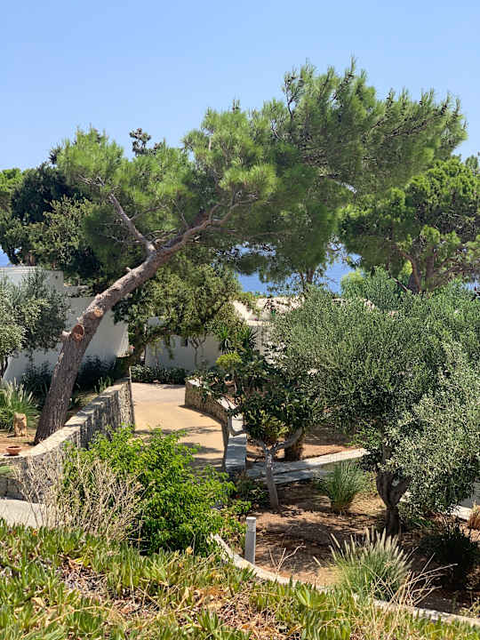 Gartenanlage Kakkos Beach Hotel