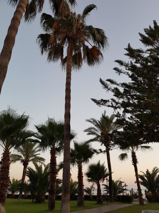 Garten  Nerton Hotel - Erwachsenenhotel ab 16 Jahren