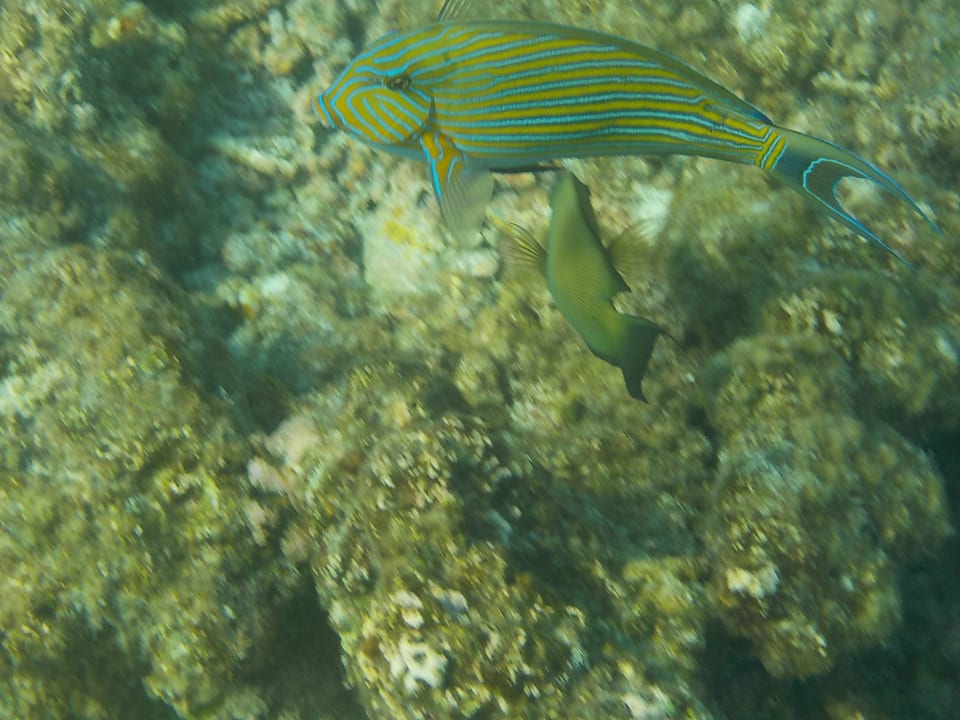 Sport & Freizeit Grand Park Kodhipparu