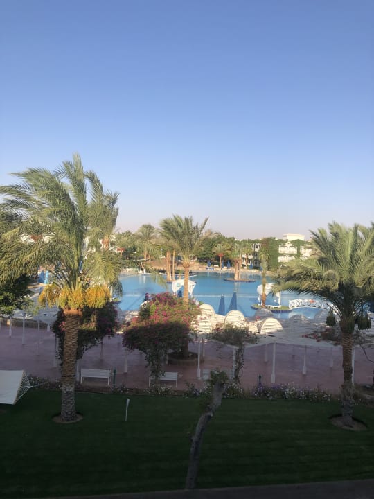 Ausblick Desert Rose