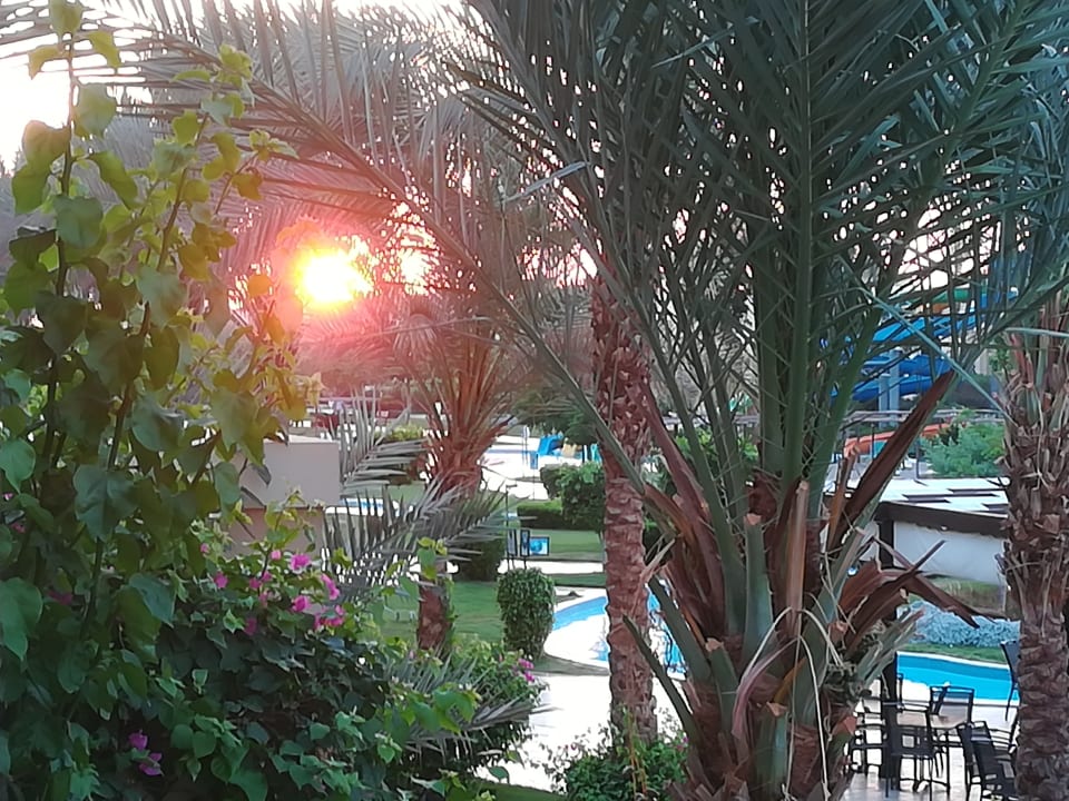 Ausblick JAZ Aquamarine Resort