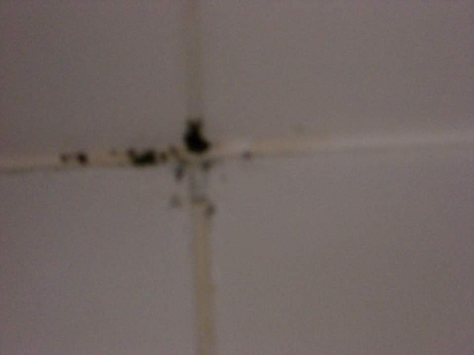 Schimmel Hotel Brauhof Wien