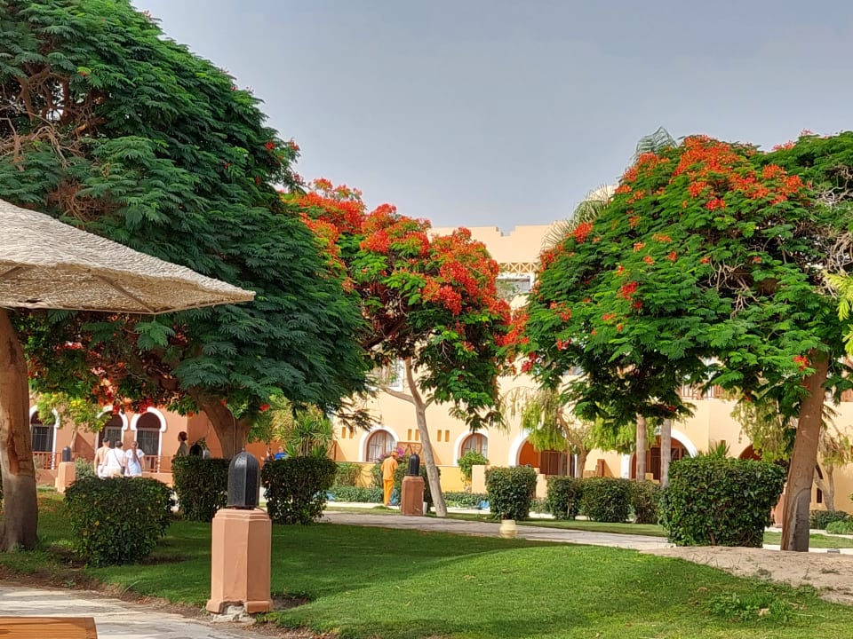 Außenansicht Grand Makadi