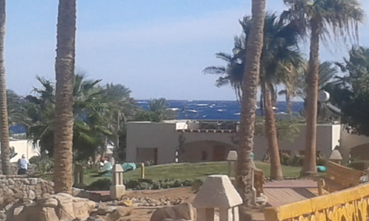 Ausblick Parrotel Beach Resort