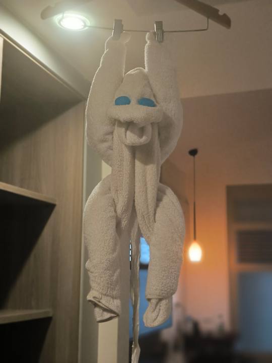 Zimmer Pickalbatros Sea World Resort - Marsa Alam