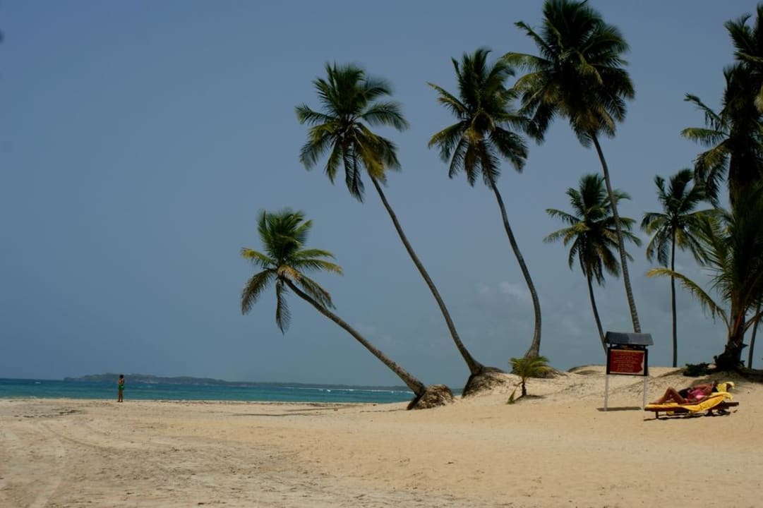 Beach Wyndham Alltra Punta Cana