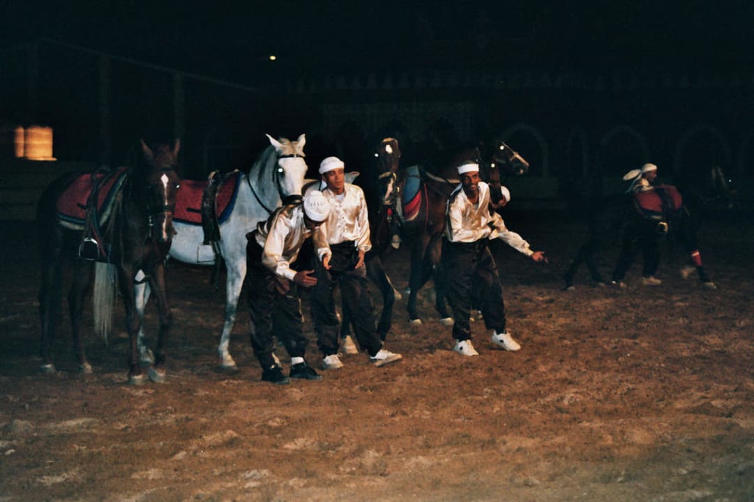 Show 1001 Nacht - Pferdeakrobatik Pickalbatros Alf Leila Wa Leila Resort - Neverland Hurghada