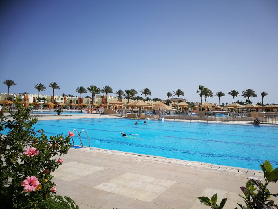 Pool SUNRISE Royal Makadi Resort