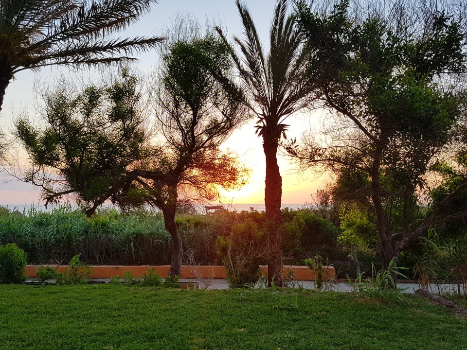 Gartenanlage El Ksar Resort & Thalasso