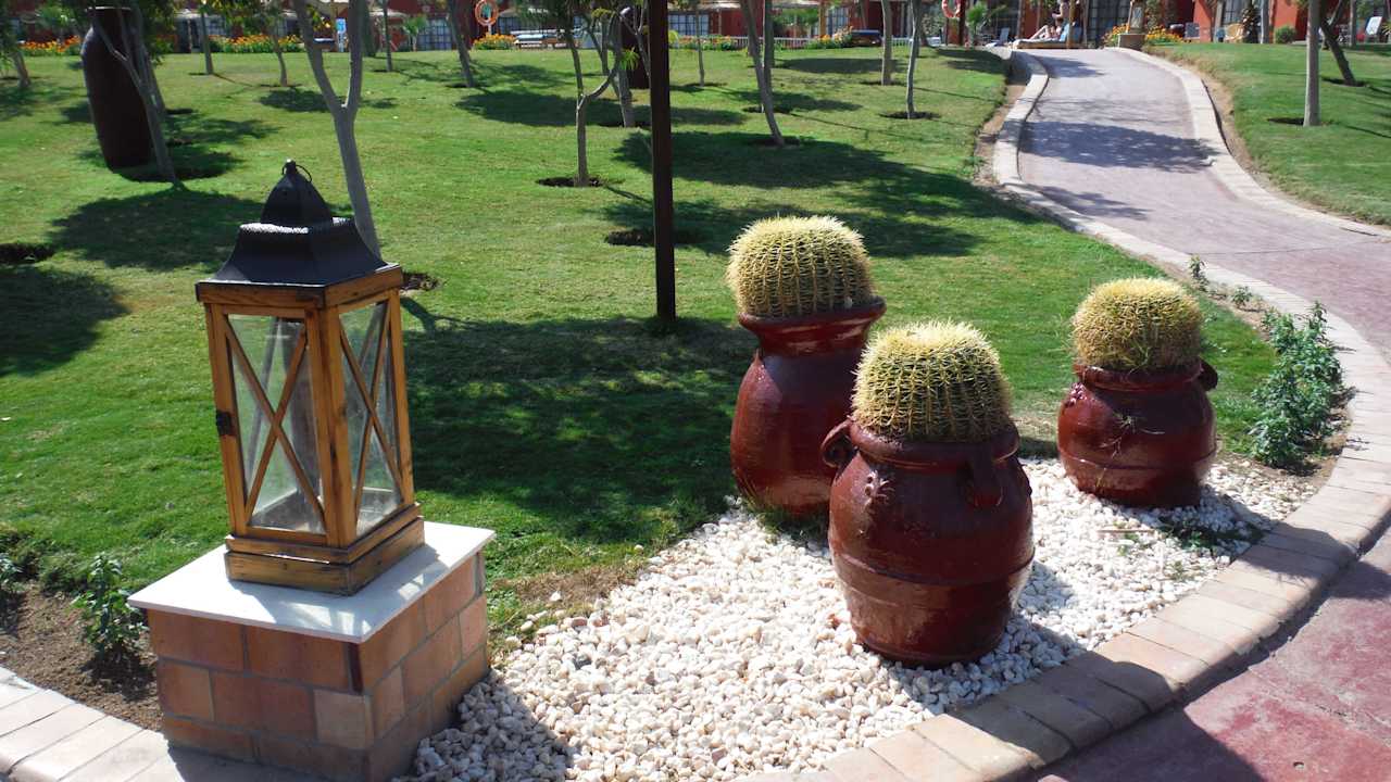 So schön.... Pickalbatros Jungle Aqua Park Resort - Neverland Hurghada