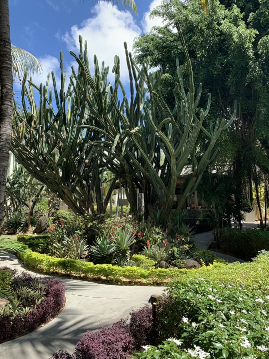 Gartenanlage Lagoon Attitude - Adults only