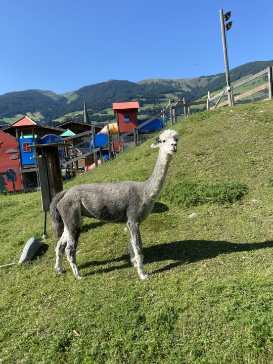 Sport & Freizeit Kinderhotel Felben