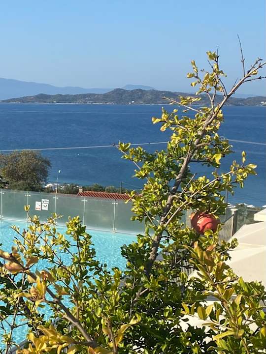 Pool Akrathos Beach Hotel