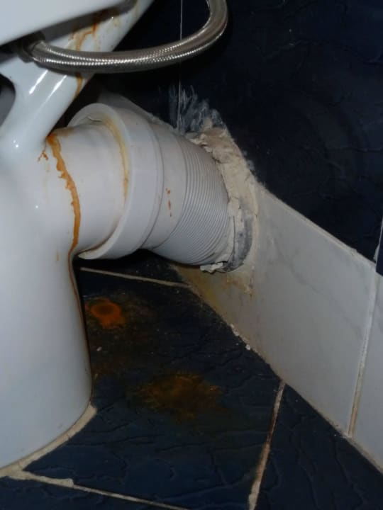 Saubere Toilette  Desert Rose