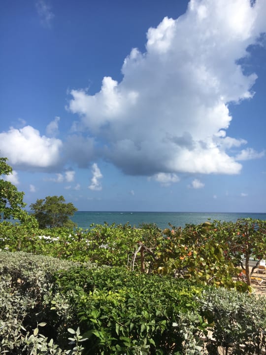 Ausblick Iberostar Waves Rose Hall Beach