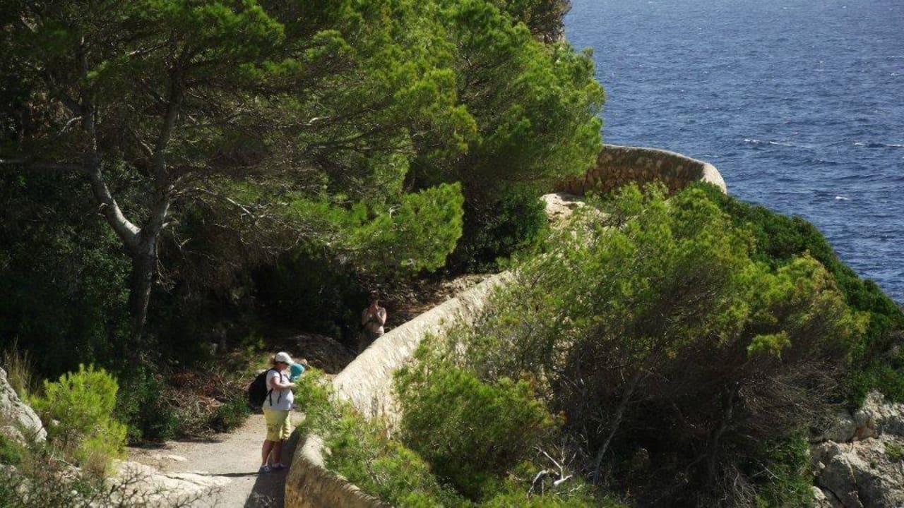 Fußweg um die Anlage blau punta reina