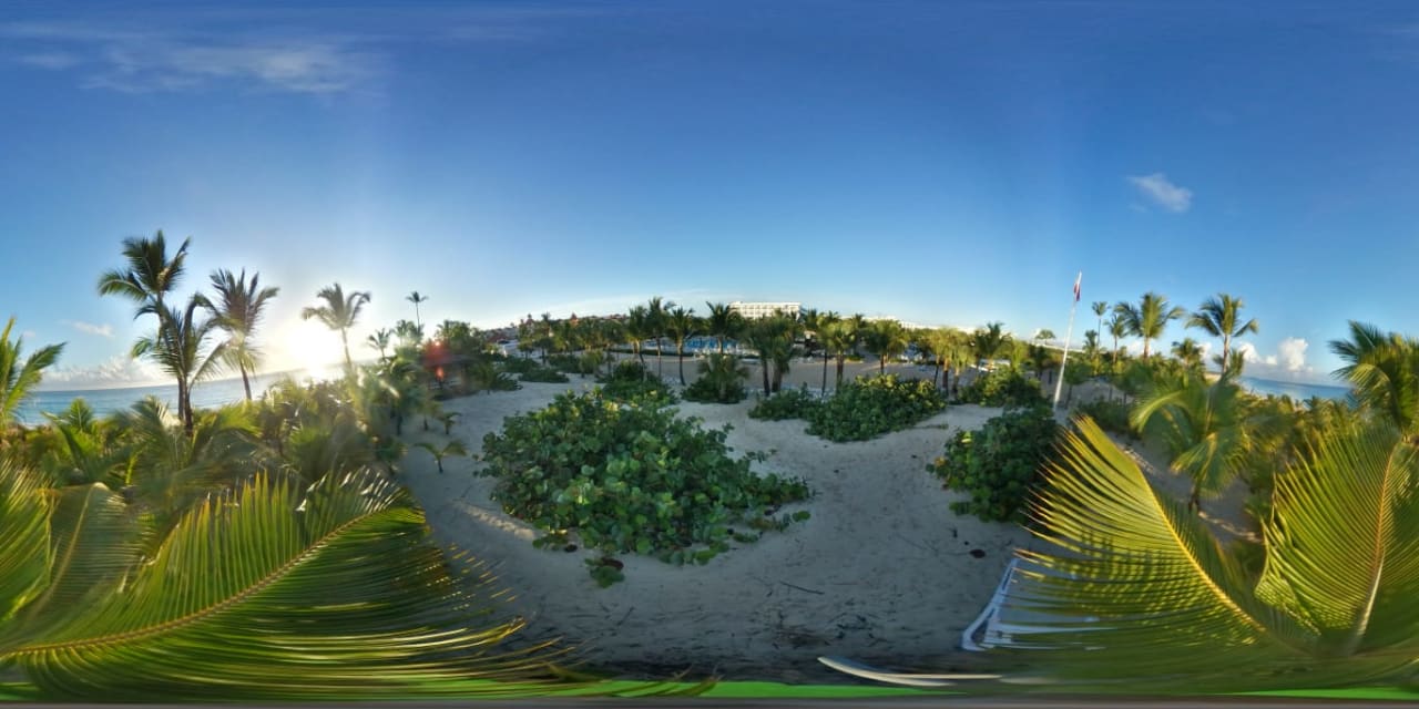 Gartenanlage Hotel Riu Republica - Adults only