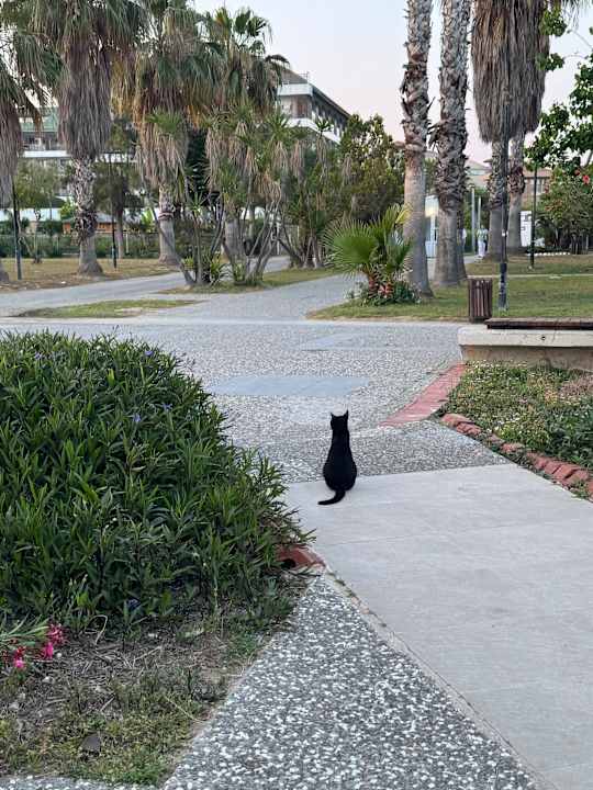 Außenansicht TUI BLUE Xanthe