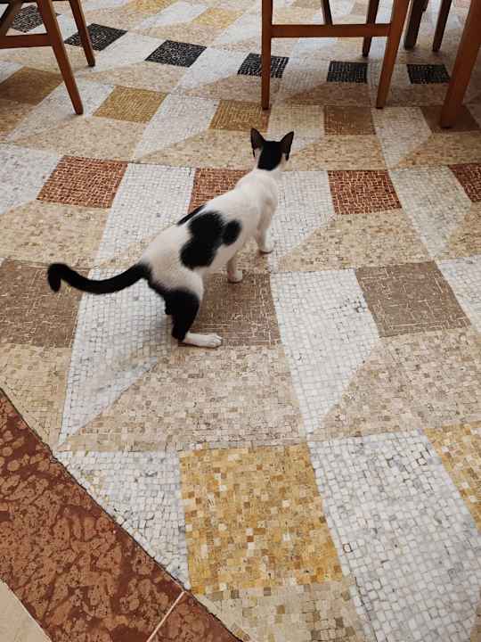 Sonstiges Iliade Aqua Park Djerba